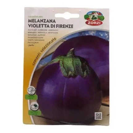 EGG PLANT SEED