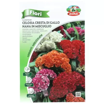 CELOSIA FLOWERING PLANT SEED
