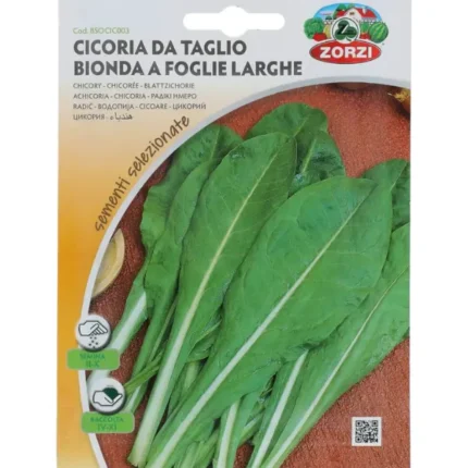 CHICORY VEGETABLE SEEDS