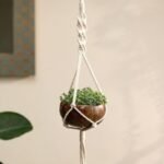 COCONUT SHELL HANGING POT WITH PLANT-ECO FRIENDLY SET-35 CM-MACRAME HANGER