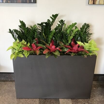 MIXED INDOOR PLANTS IN RECTANGLE PLANTER