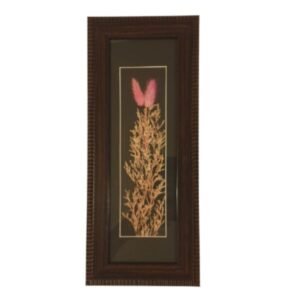 herbarium herbal art