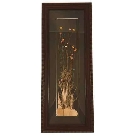 herbarium herbal art