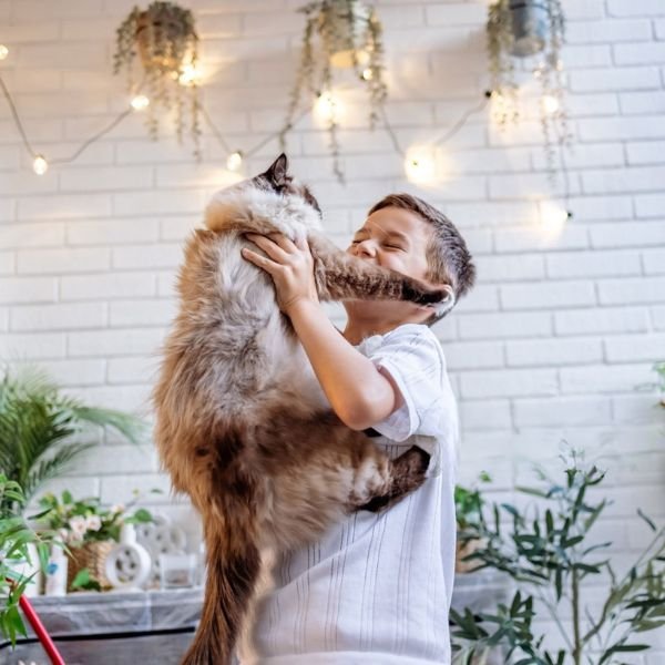 PET FRIENDLY PLANTS