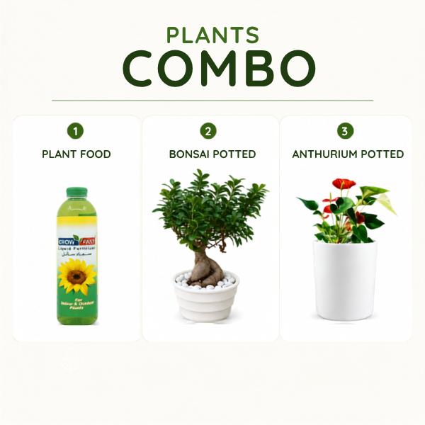 COMBO PRODUCTS