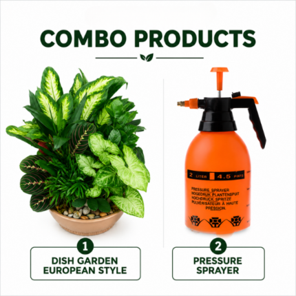 DISH GARDEN & PRESSURE SPRAYER COMBO