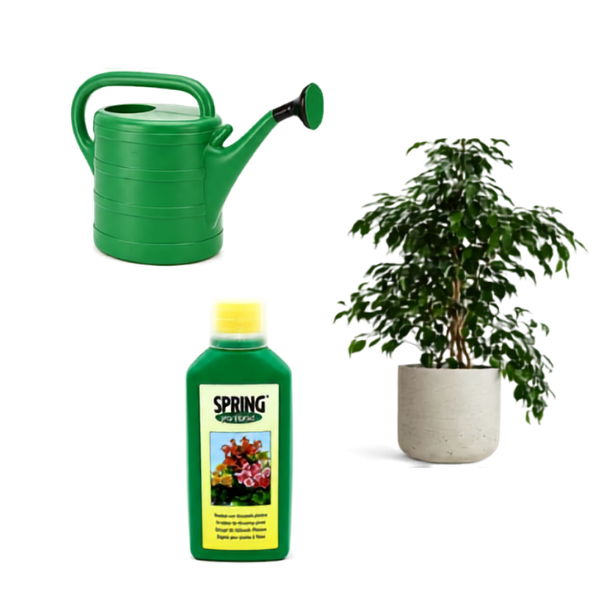 Plant Care Combo