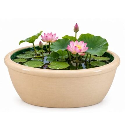 Green Glazed Lotus Pot
