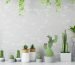 Empty Wall with Green Plants and Cactuses. 3d Render